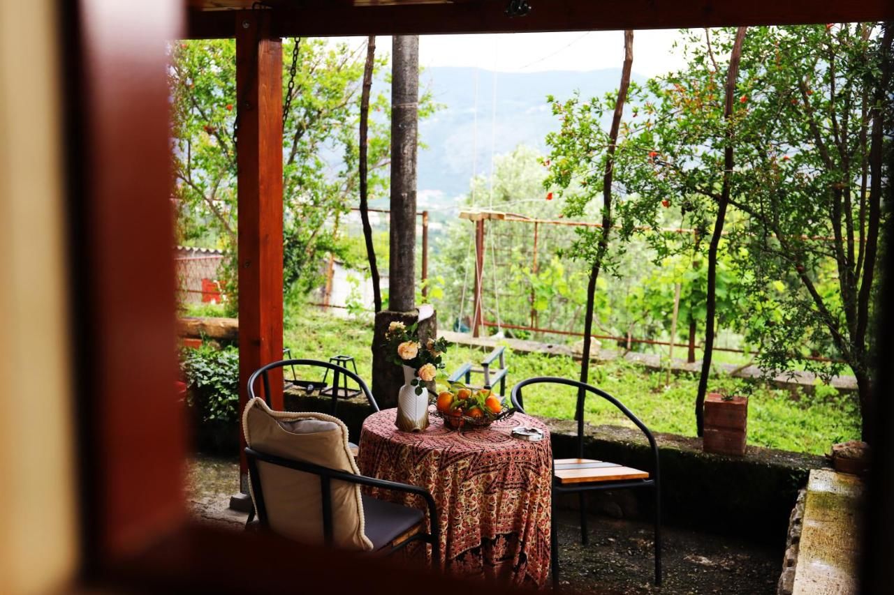 Люкс-шатры Seosko domaćinstvo Radman Херцег-Нови-24