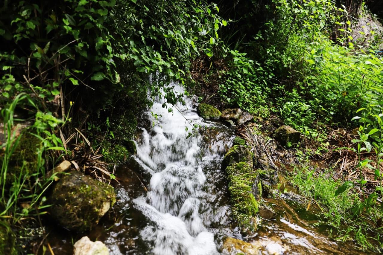 Люкс-шатры Seosko domaćinstvo Radman Херцег-Нови-25