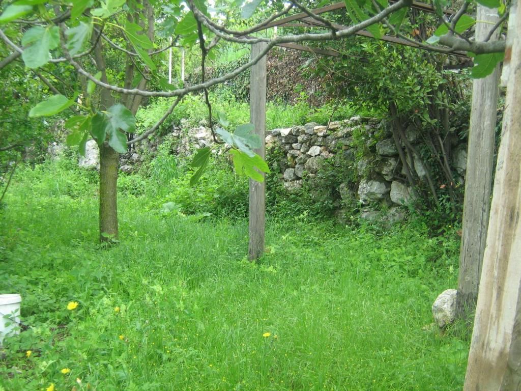 Люкс-шатры Seosko domaćinstvo Radman Херцег-Нови-34