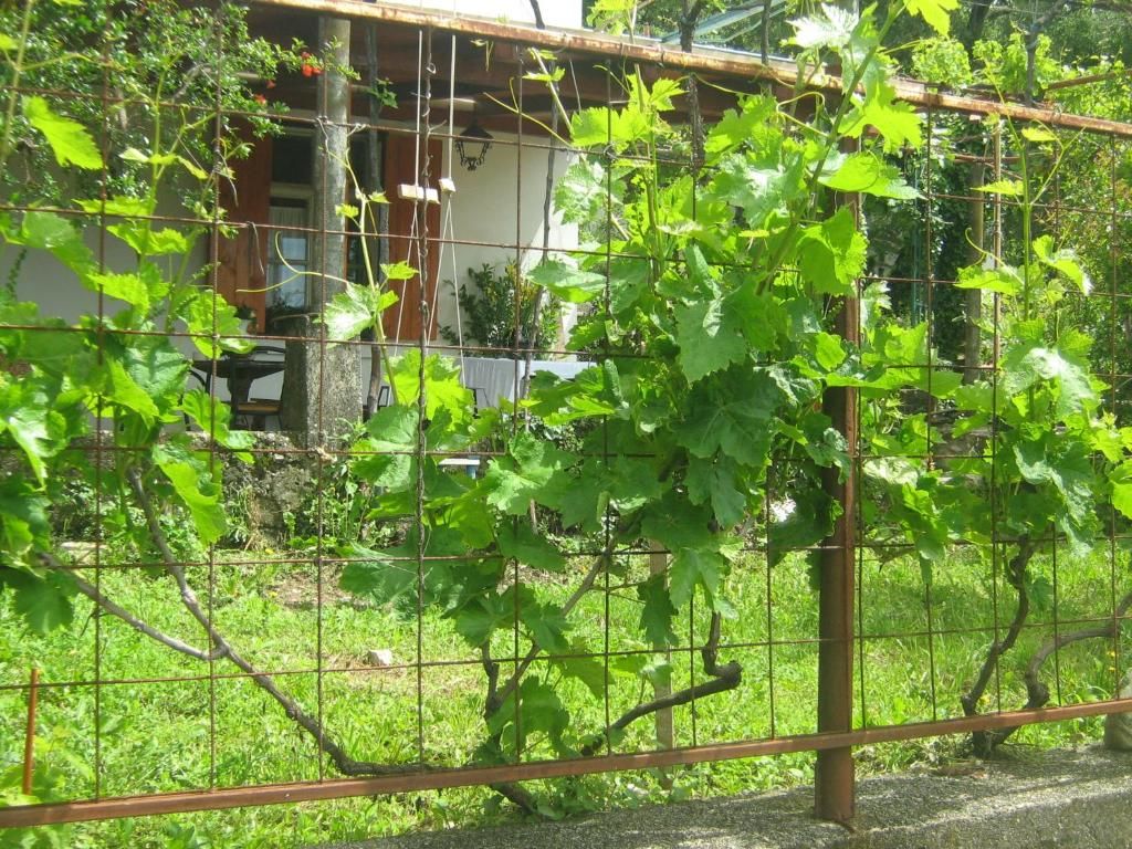 Люкс-шатры Seosko domaćinstvo Radman Херцег-Нови-36