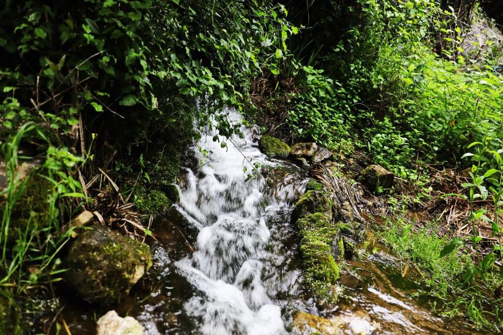 Люкс-шатры Seosko domaćinstvo Radman Херцег-Нови-41