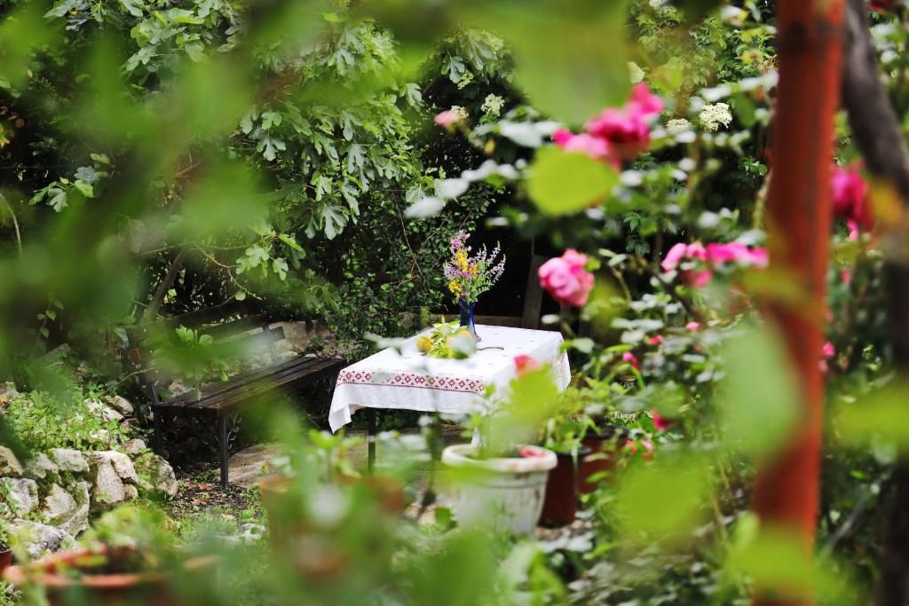 Люкс-шатры Seosko domaćinstvo Radman Херцег-Нови-43