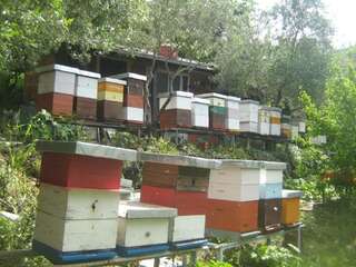 Люкс-шатры Seosko domaćinstvo Radman Херцег-Нови Шатер-29