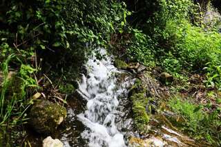 Люкс-шатры Seosko domaćinstvo Radman Херцег-Нови Шатер-35