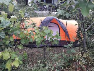 Люкс-шатры Seosko domaćinstvo Radman Херцег-Нови Шатер-46