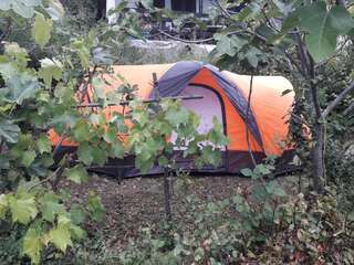 Люкс-шатры Seosko domaćinstvo Radman Херцег-Нови Шатер-5