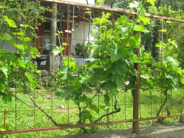 Люкс-шатры Seosko domaćinstvo Radman Херцег-Нови-30