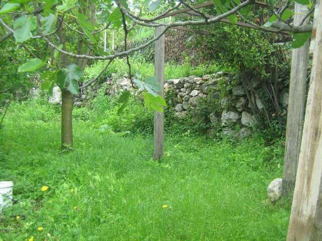 Люкс-шатры Seosko domaćinstvo Radman Херцег-Нови-33