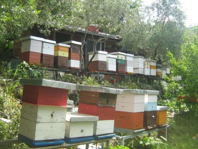 Люкс-шатры Seosko domaćinstvo Radman Херцег-Нови-34