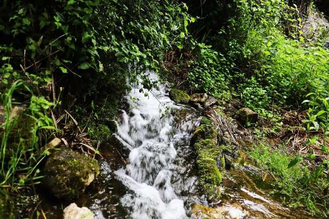 Люкс-шатры Seosko domaćinstvo Radman Херцег-Нови-40